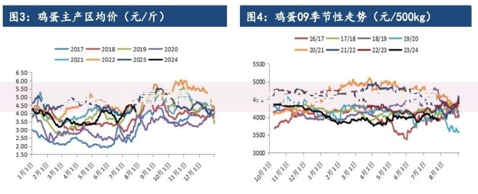 鸡蛋期货怎么看行情：供需变化与价格波动的实战指南