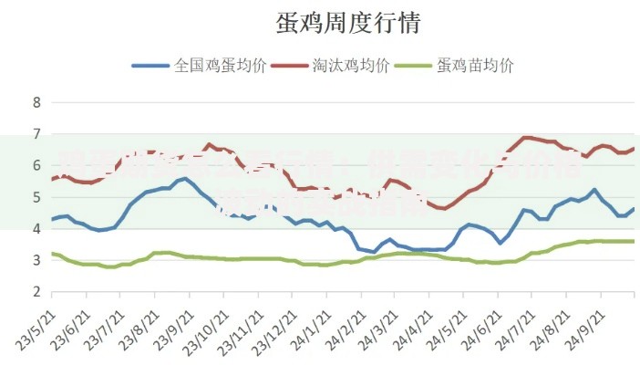 鸡蛋期货怎么看行情：供需变化与价格波动的实战指南