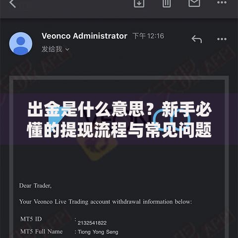 出金是什么意思？新手必懂的提现流程与常见问题解析