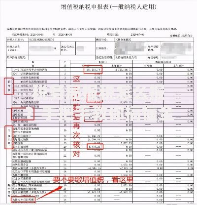 税务局报税怎么报？手把手教你搞懂全流程