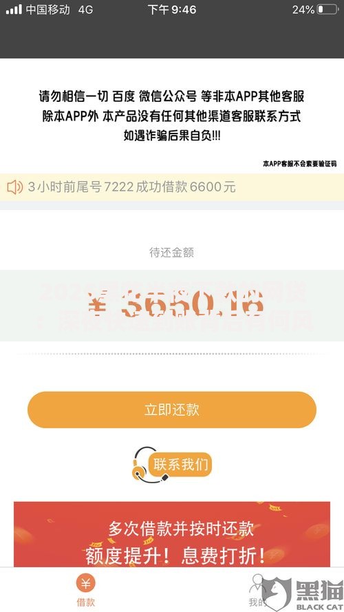 2025黑花半夜下款的网贷：深夜快速到账背后有何风险？