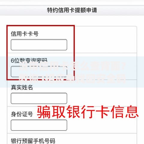 没带信用卡怎么查背面？教你3招应急找回安全码