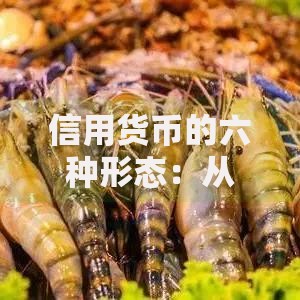 信用货币的六种形态：从贝壳到数字人民币的奇妙旅程