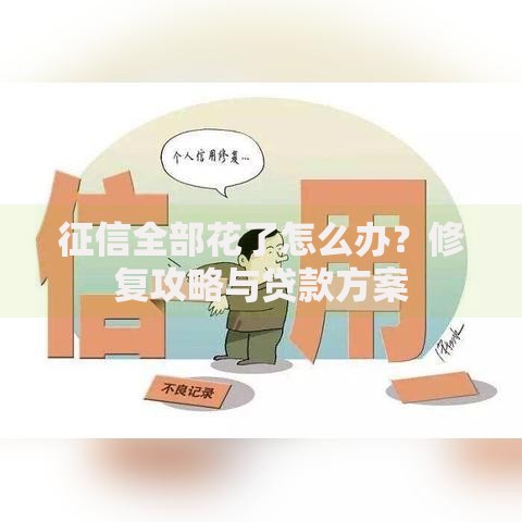 征信全部花了怎么办？修复攻略与贷款方案