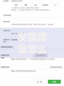 发票增量怎么操作？手把手教你快速搞定申请流程