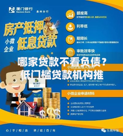 哪家贷款不看负债？低门槛贷款机构推荐及申请攻略