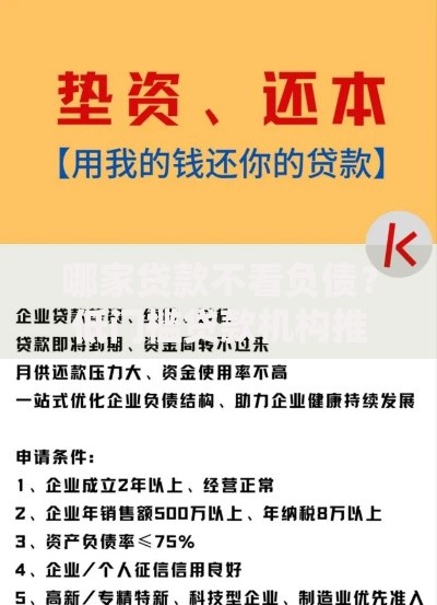 哪家贷款不看负债？低门槛贷款机构推荐及申请攻略