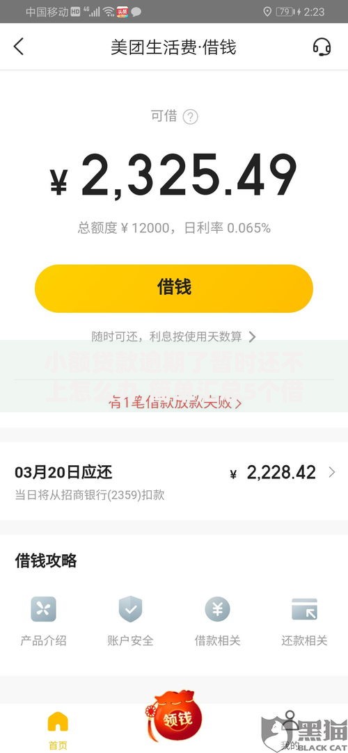 小额贷款逾期了暂时还不上怎么办,简单汇总5个借4万分48期平台