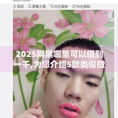 2025网黑哪里可以借到一千,为您介绍5款类似微博借钱的平台