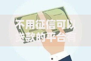 不用征信可以贷款的平台有哪些？正规渠道解析与申请指南