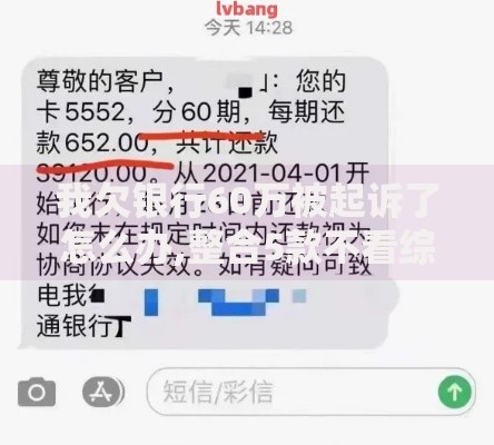 我欠银行60万被起诉了怎么办,整合5款不看综合信用评分能下款的软件