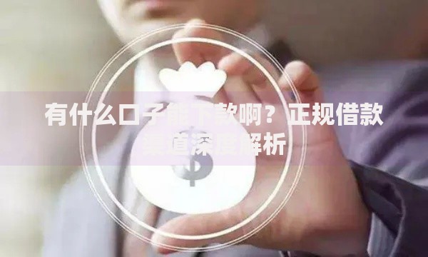有什么口子能下款啊？正规借款渠道深度解析