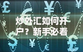 炒外汇如何开户？新手必看的开户流程与避坑指南
