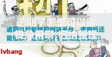 逾期了哪里可以借钱急用啊,归纳整理5个比较好贷款的平台