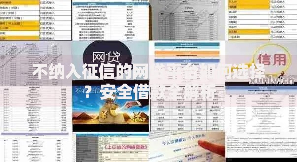 不纳入征信的网贷平台如何选择？安全借款全解析