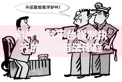 黑户借款平台强制执行的后果与法律应对方案