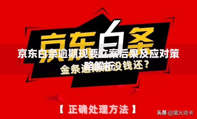 京东白条逾期现要立案后果及应对策略解析