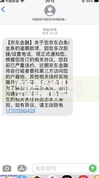 京东白条逾期现要立案后果及应对策略解析