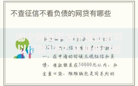 哪个网贷平台不查征信可以借款1万?正规低门槛渠道解析 哪个网贷平台不查征信可以借款1万?正规低门槛渠道解析