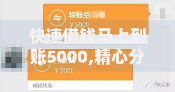 快速借钱马上到账5000,精心分析5款平台贷款一定下得来