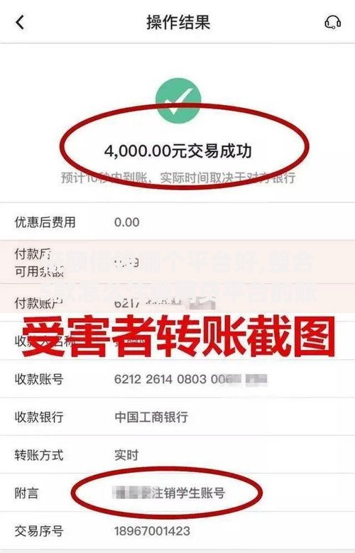 低额借钱哪个平台好,整合5款怎么注销网贷平台的账号