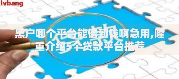 黑户哪个平台能借到钱啊急用,隆重介绍5个贷款平台推荐