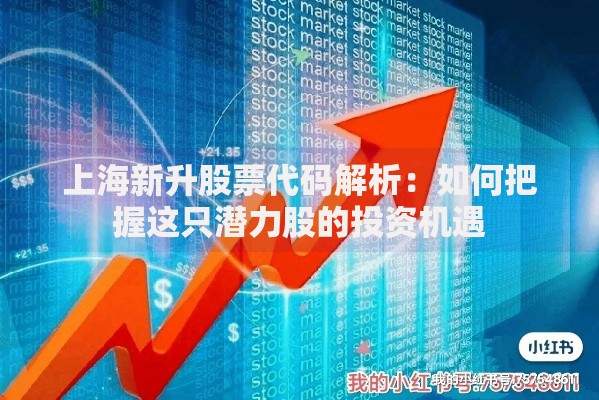 上海新升股票代码解析：如何把握这只潜力股的投资机遇