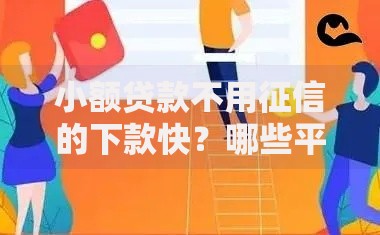 小额贷款不用征信的下款快？哪些平台更可靠