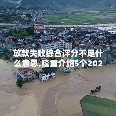 放款失败综合评分不足什么意思,隆重介绍5个2025放水的夜间贷款口子