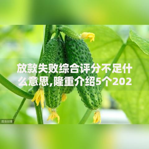 放款失败综合评分不足什么意思,隆重介绍5个2025放水的夜间贷款口子