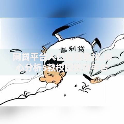 网贷平台入口在哪里找,精心分析5款校园贷款平台