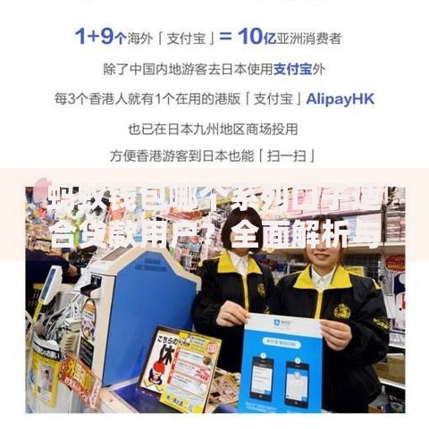 蚂蚁钱包哪个系列口子适合贷款用户？全面解析与选择指南
