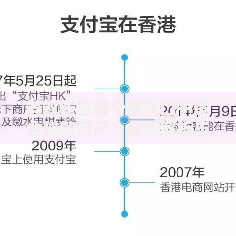 蚂蚁钱包哪个系列口子适合贷款用户？全面解析与选择指南