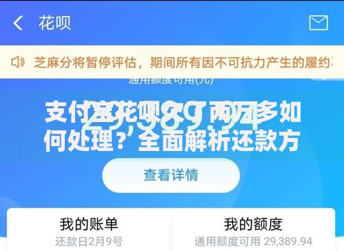 支付宝花呗欠了两万多如何处理？全面解析还款方案与风险提示