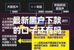 最新黑户下款的口子还有吗？审核条件与风险深度解析