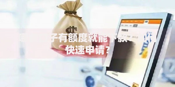 哪些口子有额度就能下款？如何快速申请？