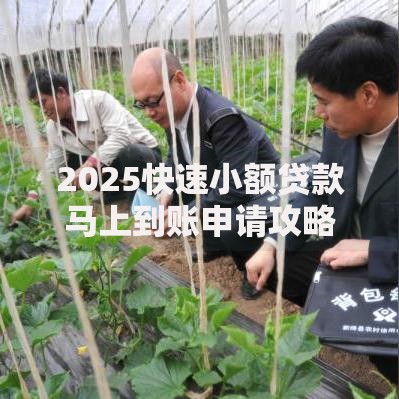 2025快速小额贷款马上到账申请攻略与流程全解析 2025快速小额贷款马上到账申请攻略与流程全解析