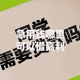 急用钱哪里可以借高利贷?安全吗?这些渠道需警惕! 急用钱哪里可以借高利贷?安全吗?这些渠道需警惕!