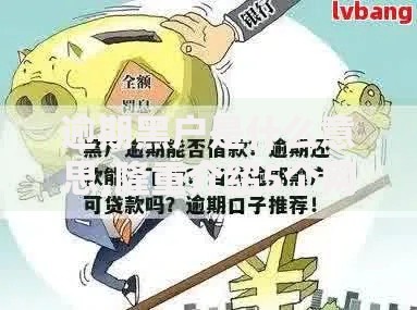 逾期黑户是什么意思,隆重介绍5个网上黑口子容易下款的 逾期黑户是什么意思,隆重介绍5个网上黑口子容易下款的