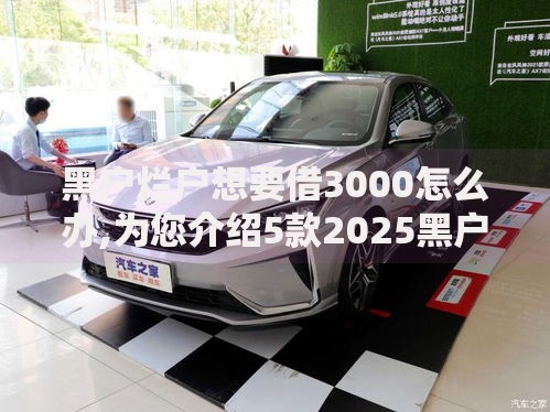 黑户烂户想要借3000怎么办,为您介绍5款2025黑户借款必下大额口子