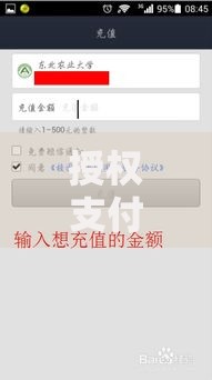 授权支付与直接支付的区别：三分钟搞懂哪种付款方式更适合你