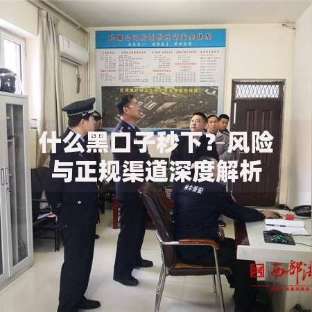 什么黑口子秒下？风险与正规渠道深度解析