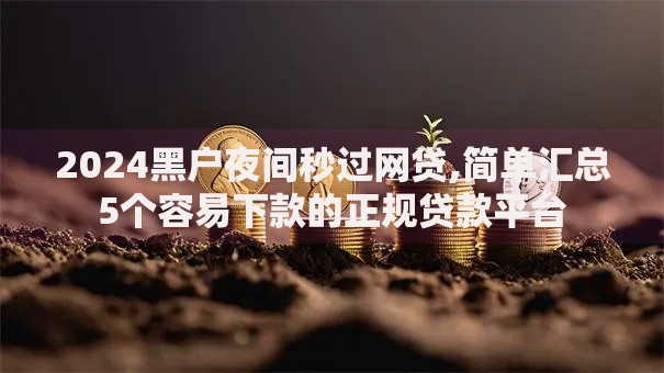 2024黑户夜间秒过网贷,简单汇总5个容易下款的正规贷款平台