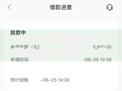 2024黑户夜间秒过网贷,简单汇总5个容易下款的正规贷款平台