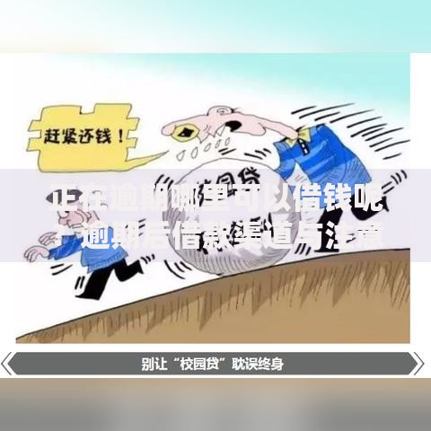 正在逾期哪里可以借钱呢？逾期后借款渠道与注意事项解析