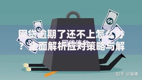 网贷逾期了还不上怎么办？全面解析应对策略与解决路径
