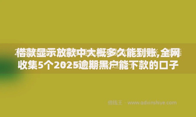 借款显示放款中大概多久能到账,全网收集5个2025逾期黑户能下款的口子