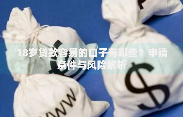 18岁贷款容易的口子有哪些？申请条件与风险解析
