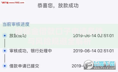 担保金借款口子申请条件与风险规避全解析