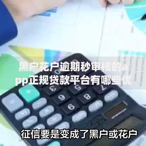 黑户花户逾期秒审核的app正规贷款平台有哪些优势